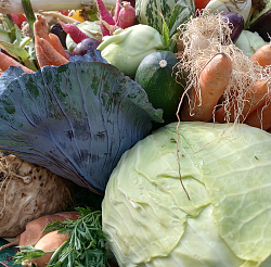 Verschiedenes Gemüse