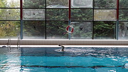 Schwimmer im Lahrer Hallenbad.