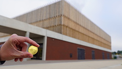 Eine Hand hält eine goldene Münze, im Hintergrund die Lahrer Mehrzweckhalle.