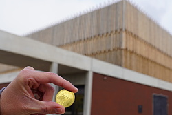 Eine Hand hält eine goldene Münze, im Hintergrund die Lahrer Mehrzweckhalle.