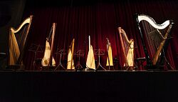 Auf dem Foto sind sieben Harfen zu sehen 