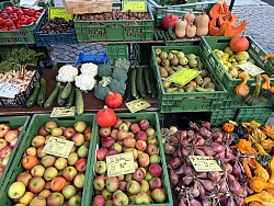 Herbstliches Obst und Gemüse auf dem Lahrer Wochenmarkt. Dazu gehören Äpfel, rote Zwiebeln, Kürbisse und weiteres Obst und Gemüse.
