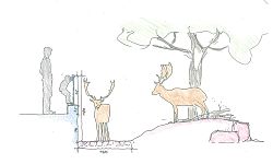 Zeichnung für den Umbau der Anlage im Stadtpark mit Menschen an einem Aussichtspunkt auf das Gehege, in dem Hirsche und ein Baum eingezeichnet sind