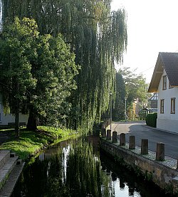 Das Bild zeigt die Schutter in Hugsweier. Links hängen die Zweige einer Trauerweide über den Fluss, rechts sind einige Poller, eine Straße und ein Haus zu erkennen. 