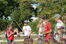 Kinder erkunden den archäobotanischen Garten bei schönem Wetter und riechen an Kräutern und Pflanzen.