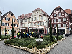 Gärtnerinnen und Gärtner des Europa-Park inmitten des Themenbeets