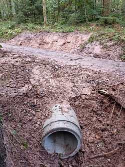 Dole im Lahrer Stadtwald