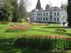 Sicht auf das Museum im Lahrer Stadtpark; im Vordergrund eine grüne Wiese mit verschiedenen Tulpen