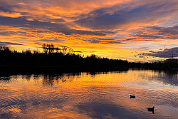 Sonnenuntergang im Seepark