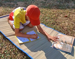 Junge kniet auf einer Strandmatte auf Gras und schreibt in ein Logbuch neben einem aufgeschlagenen Buch.