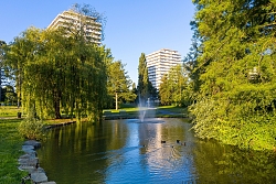 Blick auf den Teich im Kleinfeldpark; im Hintergrund zwischen hohen Bäumen zwei Hochhäuser der Römerstraße 