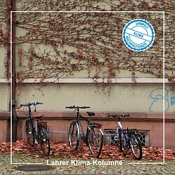 Drei Fahrräder stehen geparkt an einer Hauswand, an der eine Pflanze hochrankt, die im Herbst ihre Blätter abgeworfen hat. Unter den Rädern liegt braunes Herbstlaub.