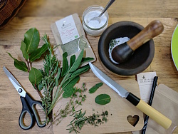 Das Bild zeigt einen Tisch auf dem sämtliche Zutaten und Hilfsmittel für das Kräutersalz bereit liegen