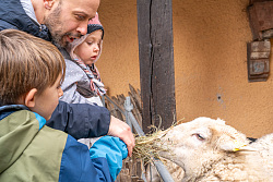 Lebendige Krippe am Storchenturm in Lahr Schwarzwald in der Adventszeit