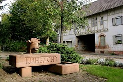Das Bild zeigt den Dorfbrunnen von Kuhbach. Eine Bundsandstein-Kuh spuckt Wasser in einen Bundsandstein-Trog, auf dem Kuhbach steht und der links auf einer Bundsandstein-Säule und rechts auf einem weiteren Bundsandstein-Trog liegt. Im Hintergrund sind Büsche, Bäume und ein alter Hof zu erkennen.