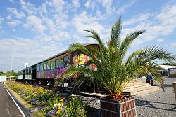 Bunt besprühter Zugwaggung hinter einer Palme