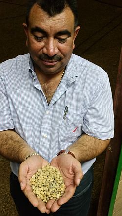 Das Bild zeigt einen Kaffeeproduzenten in Alajuela. In seinen zu einer Schale geformten Händen streckt der Mann dem Betrachter grüne Kaffeebohnen entgegen. 