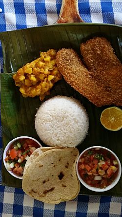 Das Bild zeigt ein typisches Gericht auf einem Bananenblatt in Alajuela