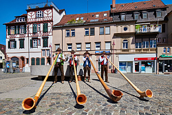 Vier Alphörner auf dem Marktplatz