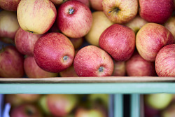 Öffnungszeiten, Wochenmarkt, Markt, Kulinarik, Stadt Lahr 