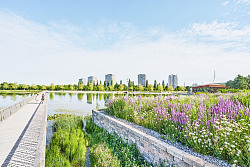 Blick auf den Laufsteg über den Seepark in Lahr