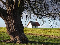Kapelle mit Linde auf dem Langenhard