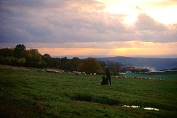 Das Bild zeigt einen Blick bei Sonnenuntergang vom Langenhard in Richtung Sulz. Auf der Wiese steht ein Schäfer mit seinem Hund, im Hintergrund sieht man seine Schafherde.
