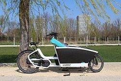 Ein Lastenrad steht an einem Baum. Im Hintergrund eine Grünfläche und Hochhäuser.