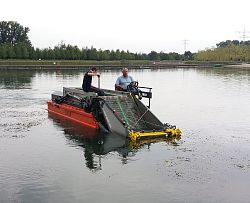 Mähboot mit zwei Mitarbeitern der Stadt Lahr auf dem See im Einsatz