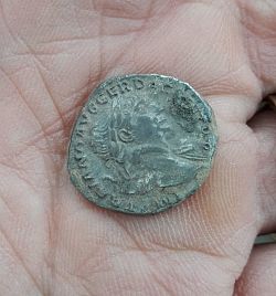 Auf dem Bild sieht man eine der gefundenen Münzen