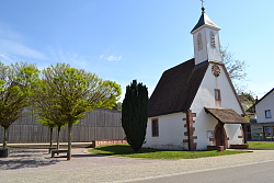 Neben dem Bürgerhausvorplatz, der geschmückt ist mit akurat aufgereihten kleinen Laubbäumen, steht das kleine evangelische Kirchle Mietersheims. Im Hintergrund sieht man das Bürgerhaus Mietersheim mit seiner markanten Holzverkleidung. Es ist ein sonniger Tag und der Himmel ist strahlend blau.  