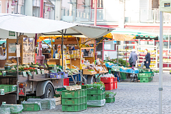Stände mit Obst und Gemüse auf dem Lahrer Wochenmarkt