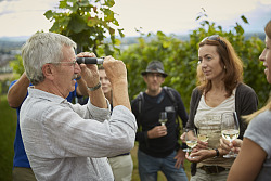 Erlebe Lahr: Weinführung Trauben und Wein vom Weingut Wöhrle in Lahr/Schwarzwald
