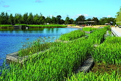 Das Foto zeigt einen Teil vom See im Seepark umgeben von grünen Wiesen und Schilf