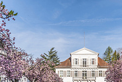 Neues Rathaus, Stadt Lahr, erlebe Lahr, Zeitzeugen aus Stein, 