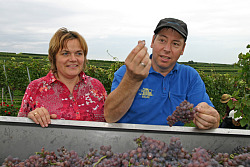 Ehepaar Bernadette Bächle-Helde und Norbert Helde mit Weintrauben&#13;&#10;