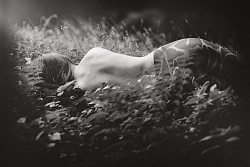 Eine junge Frau liegt im Gras, von hinten fotografiert, mit nacktem Oberkörper