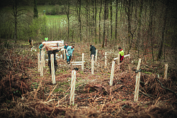 Helferinnen und Helfer im Wald am Ulsberg