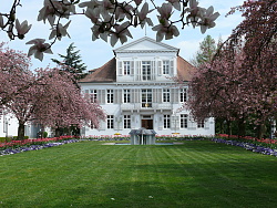 Das Bild zeigt das Lahrer Rathaus durch blühende Bäume und über eine Rasenfläche und einen Springbrunnen hinweg. Das weiße ehemalige Fabrikgebäude hat eine Weinbrenner-Fassade.