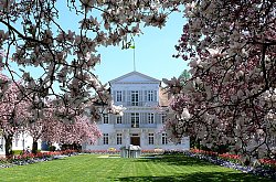 Das Bild zeigt das Rathaus 1 in Lahr, ein Gebäude von Hans Voß nach Entwürfen von Friedrich Weinbrennerschüler mit einer weißen klassizistischen Fassade mit und zwei Balkonen über dem Eingang. Im Vordergrund rechts und links roséfarbene Kirschblüten.