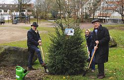 Auf dem Bild sind zu sehen: Richard Sottru, Leiter der Abteilung Öffentliches Grün und Umwelt bei der Stadt Lahr, seine Mitarbeiterin, Urte Stahl, und Oberbürgermeister Dr. Wolfgang G. Müller wie sie gerade eine Fichte auf dem Spielplatz Fichtestraße in Lahr pflanzen. Links vorn steht eine grüne Kunststoffgießkanne. Alle haben Spaten in der Hand. Im Hintergrund Spielgeräte, vereinzelte Bäume, die den Spielplatz säumen und dahinter anliegende Häuser