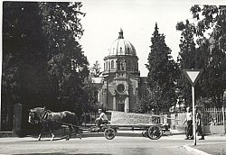 Das Foto zeigt eine schwarz-weiß Aufnahme von 1954, als der Sarkophag von seinem Fundort, der Burgheimer Kirche mit einem Pferdegespann  in die Villa Jamm transportiert wurde.
