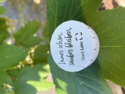 Der Taschenaschenbecher ist ein rundes, weißes Behältnis, auf dessen Deckel &#34;Immer schön sauber bleiben&#34; steht. Unter der Aufschrift ist das Logo der Stadt Lahr.