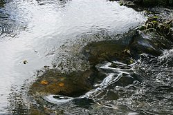 Wasser eines Flusses
