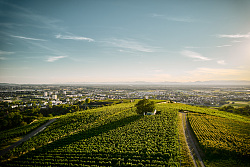 Ausblick vom Schutterlindenberg mit blauem Himmel.