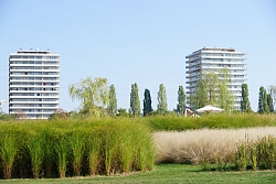 Großaufnahme vom Seeparkgelände