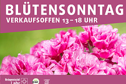 Erlebe Lahr, Blütensonntag in Lahr mit Biomarkt und Altstadt Antikmarkt