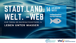 Das Plakat informiert über einen kostenlosen Online-Vortrag der VHS Lahr: Meeresbiologin Stefanie Sudhaus informiert vor dem Hintergrund des Klimawandels über die verschiedenen Lebensräume, die in den Meeren existieren, die Bedrohungen, mit denen diese konfrontiert sind – und darüber, was dagegen getan werden kann. 