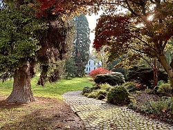 Gepflasterter Weg führt durch herbstlich buntes Laub und Bäume zu einer weißen Villa im Hintergrund.