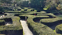 erhöhte Aufnahme vom Pflanzen-Labyrinth im Stadtpark Lahr; Kinder laufen in den Gängen